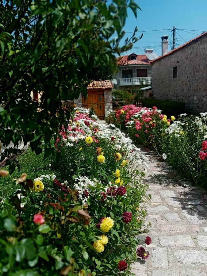 Bujtina Shkodrani Bed & Breakfast วอสโคโพเยอ ภายนอก รูปภาพ