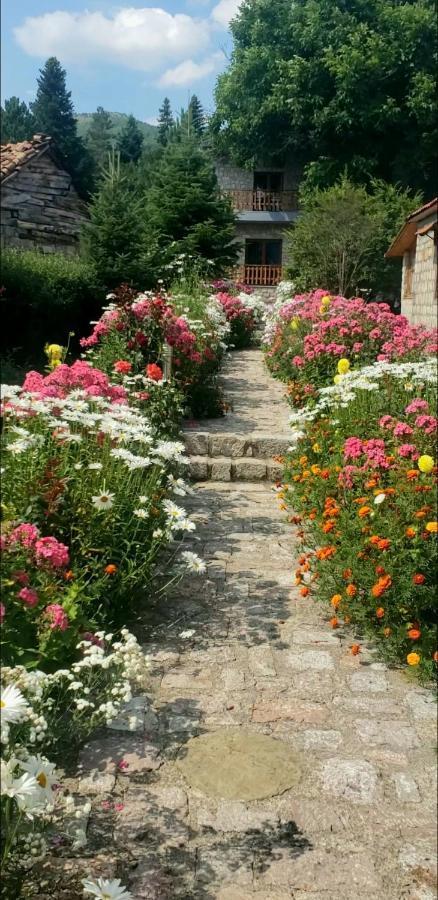 Bujtina Shkodrani Bed & Breakfast วอสโคโพเยอ ภายนอก รูปภาพ